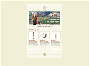 Newsletter Design by LeonFX