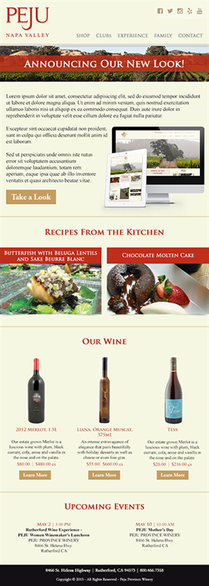Newsletter Design by erin_shimamoto