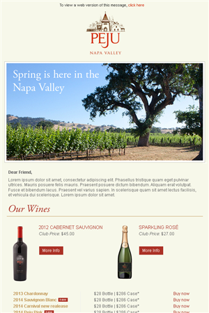 Newsletter Design by ryan.park_