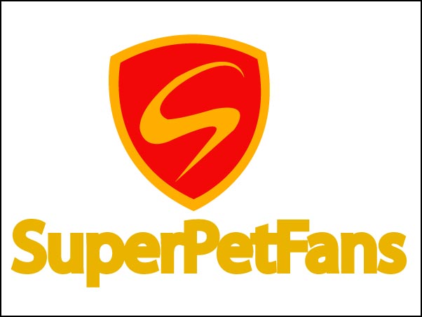 Logo Design by ronk3r for this project | Design #320056