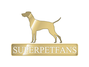 Logo Design by Fai