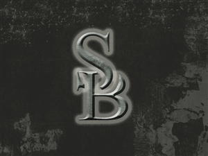 Logo Design by bohemian.moon for this project | Design #5958727