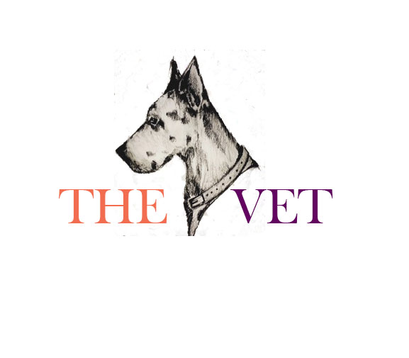 Logo Design by SanjanaSinghart for this project | Design #5997912