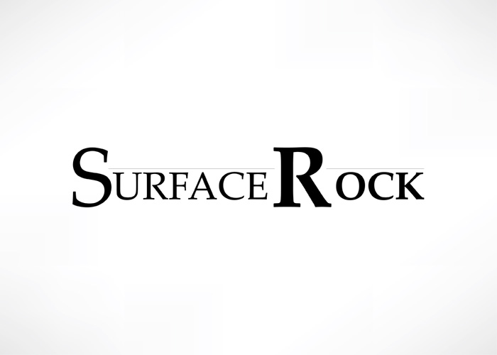 Diseño de Logo por Dalibor Zunic para este proyecto | Diseño #1667503