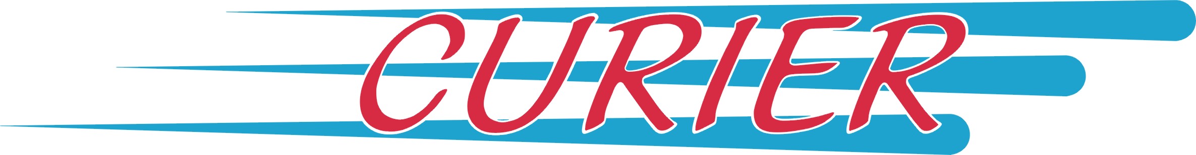 Diseño de Logo por eve design para SAMEDAY EXPRESS INC | Diseño #8736
