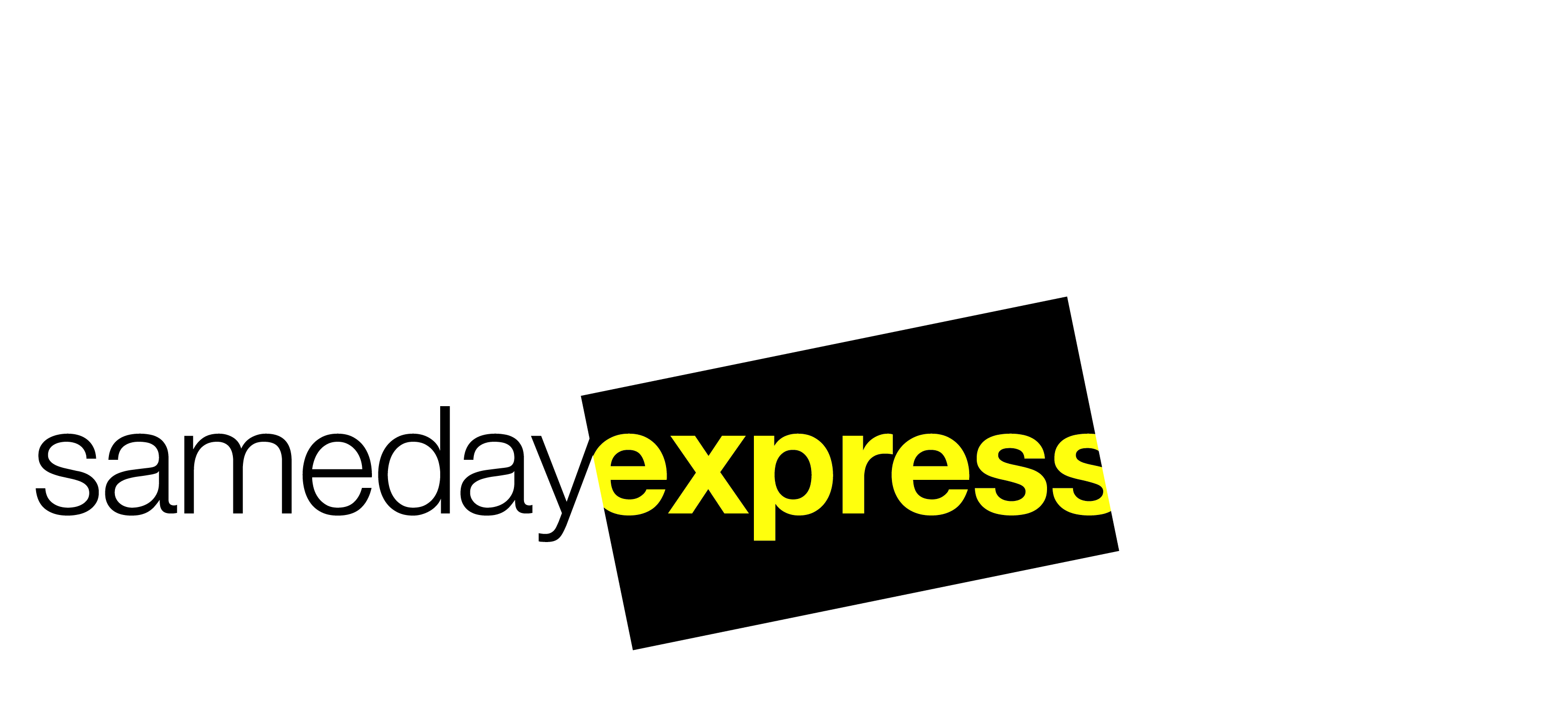 Logo Design by Kelly Deane Design for SAMEDAY EXPRESS INC | Design #11478