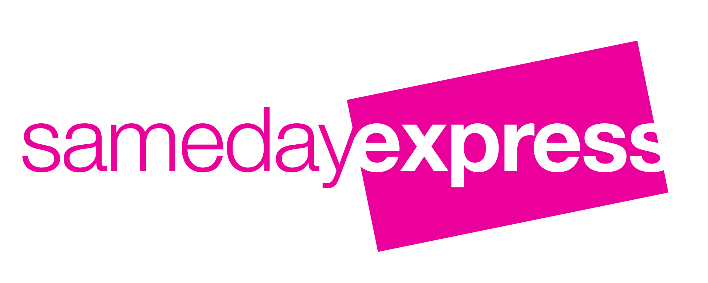 Logo Design by Kelly Deane Design for SAMEDAY EXPRESS INC | Design #11479