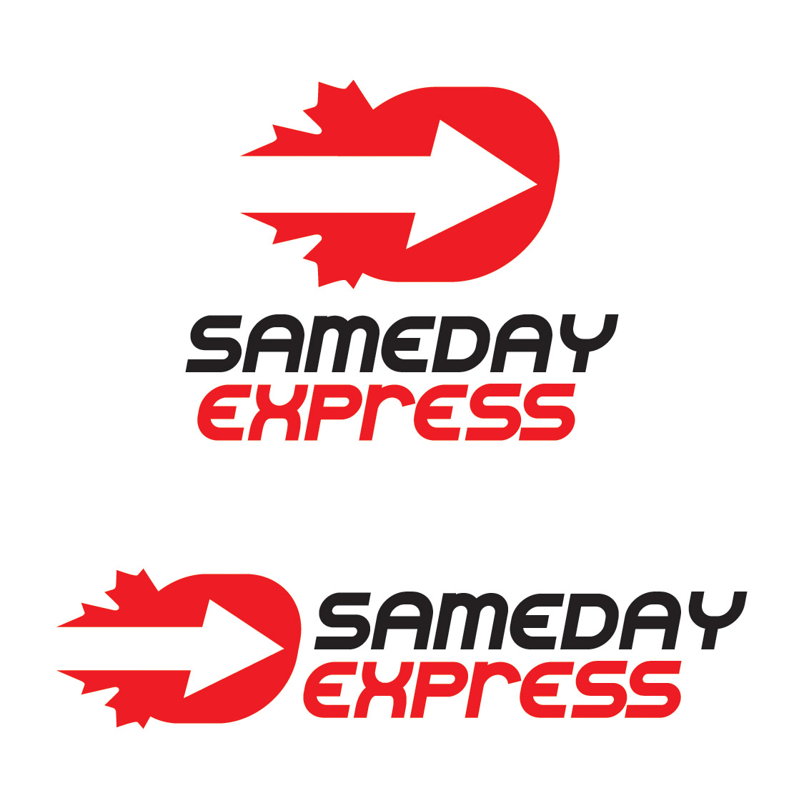 Logo-Design von FireSide Design für SAMEDAY EXPRESS INC | Design #10533