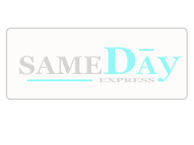 Logo Design by WN design for SAMEDAY EXPRESS INC | Design #8586
