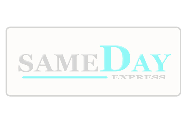Logo Design by WN design for SAMEDAY EXPRESS INC | Design #8587