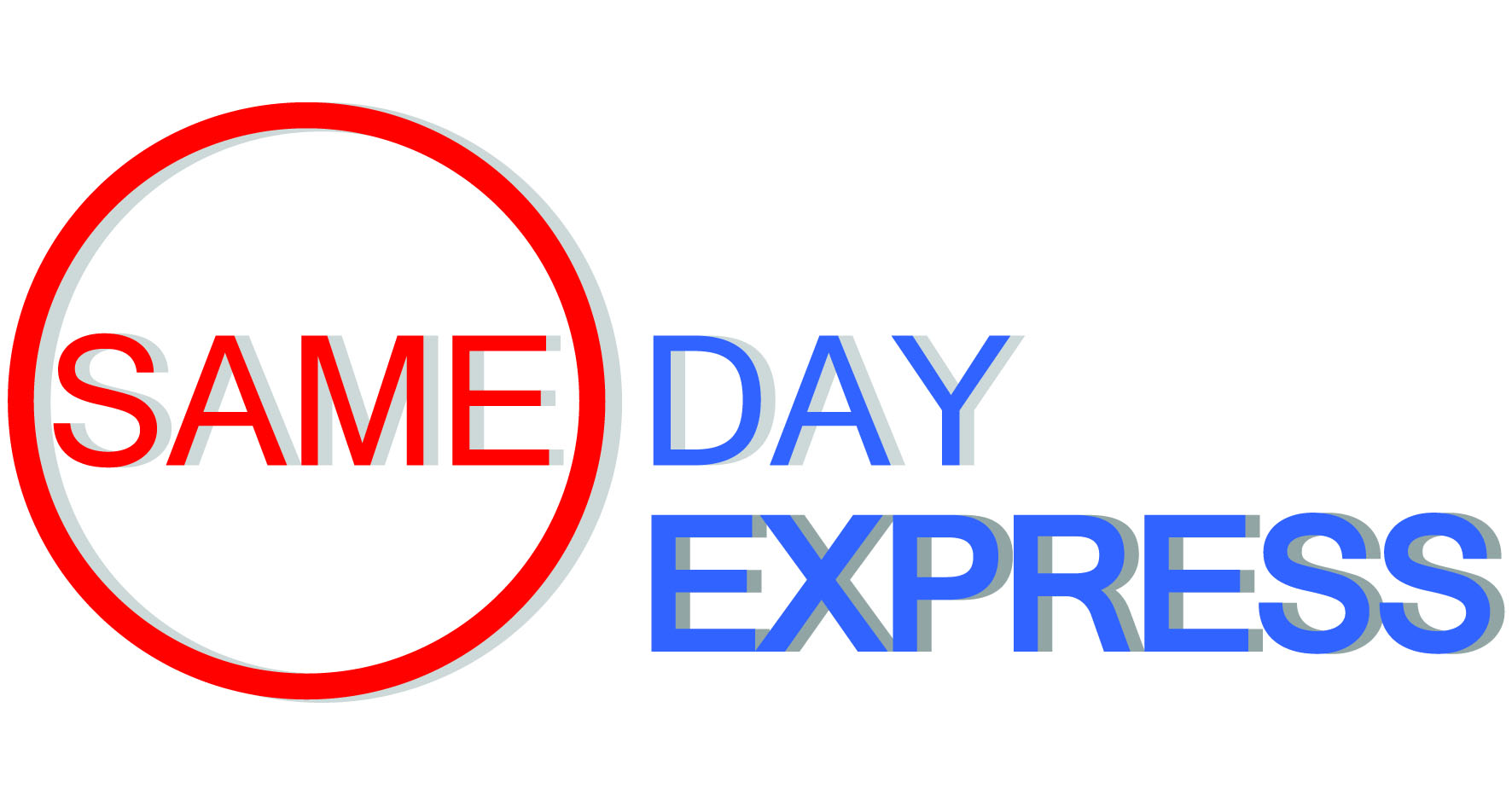 Logo Design by Sta Designs for SAMEDAY EXPRESS INC | Design #8751