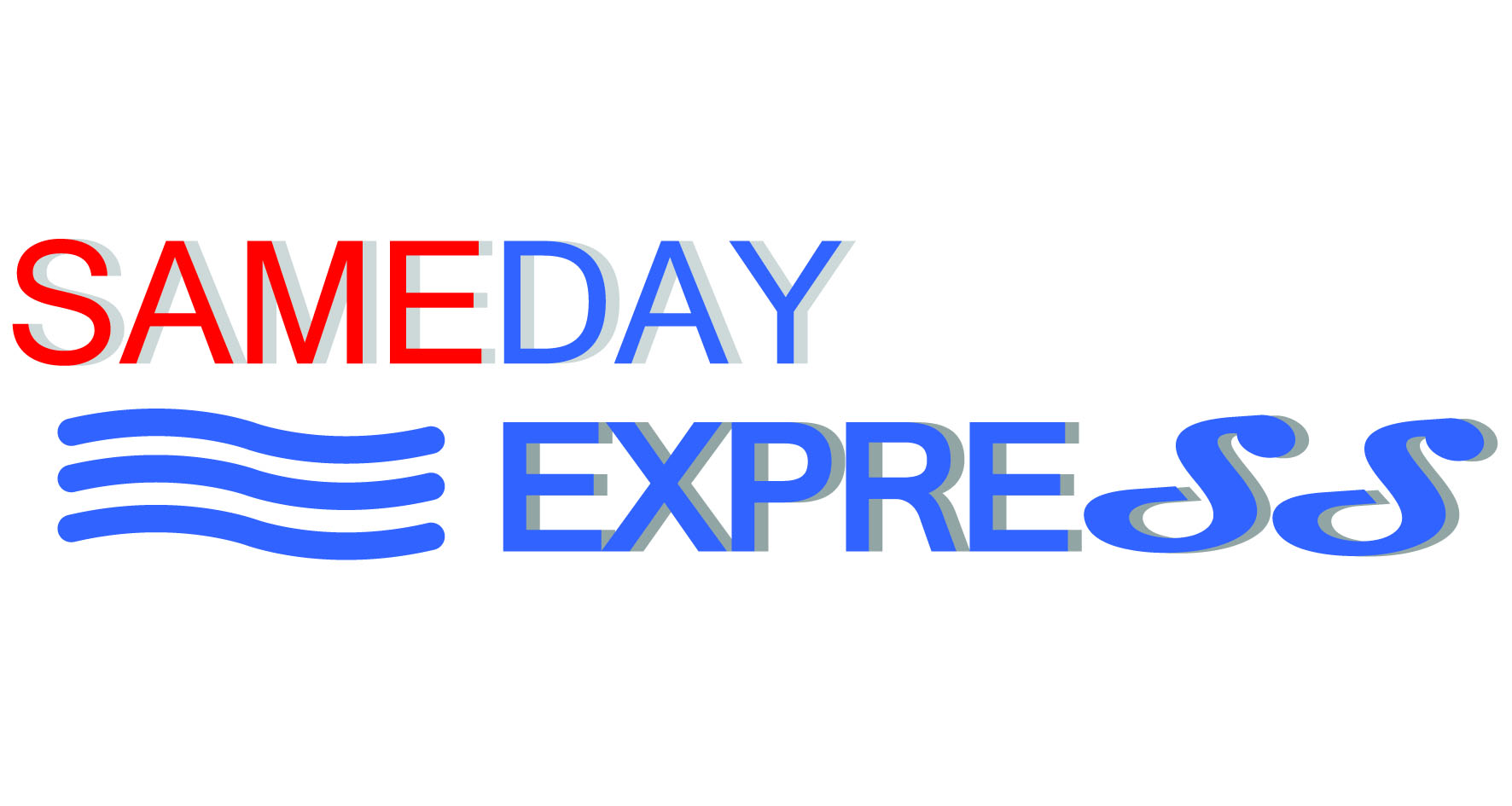 Logo Design by Sta Designs for SAMEDAY EXPRESS INC | Design #8755