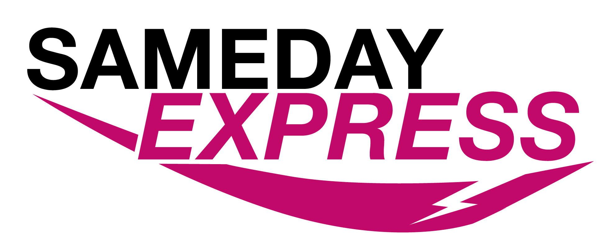Logo Design by Anna Johnstone for SAMEDAY EXPRESS INC | Design #8201