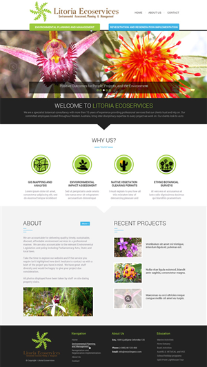 Web Design by looptriks