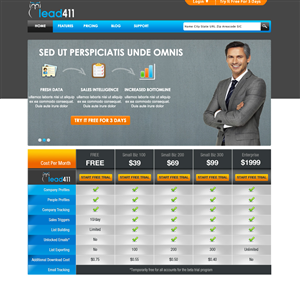 Three Pages for Lead411 | Web Design by eMango