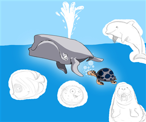 Illustration Design by Kadran