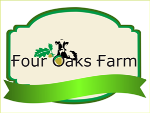 Logo Design by shivangi vermosys