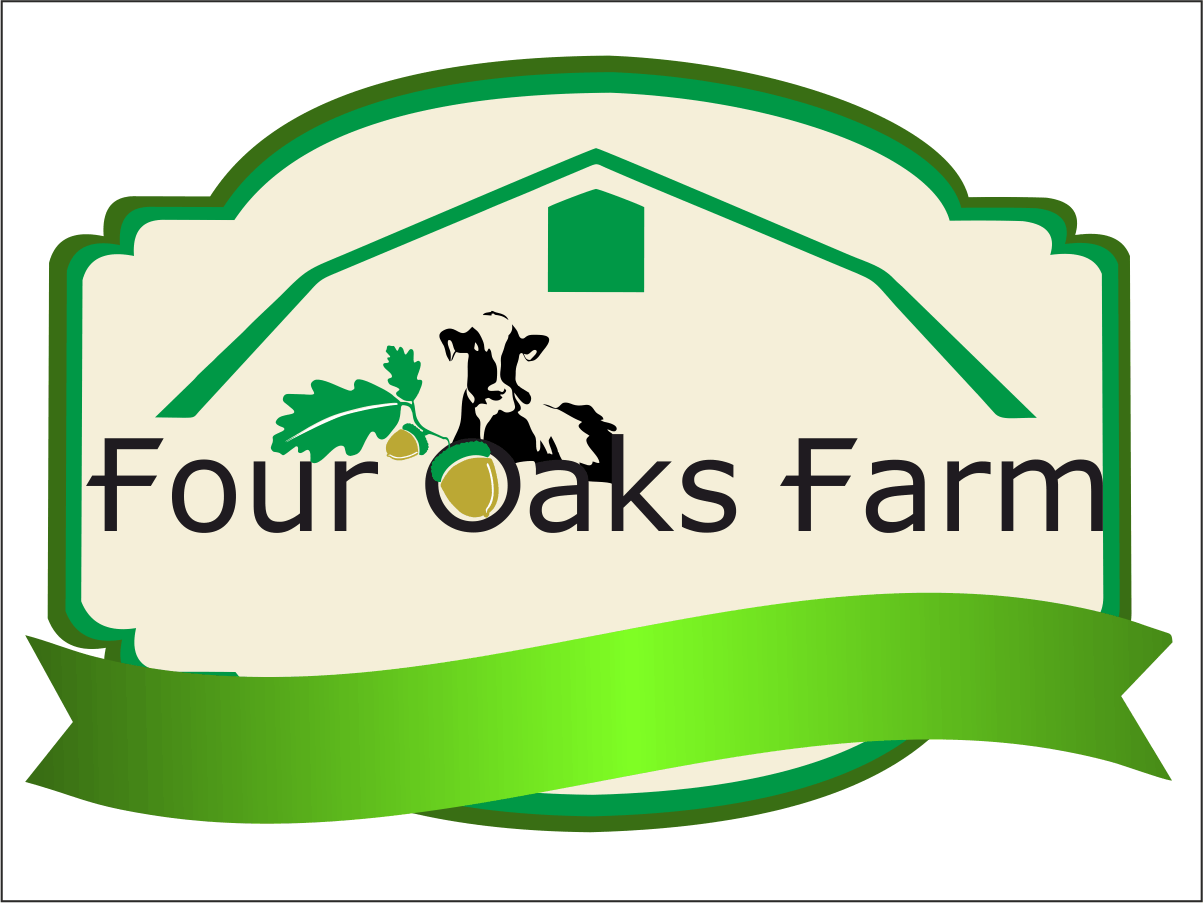 Logo Design by shivangi vermosys for this project | Design #6006739