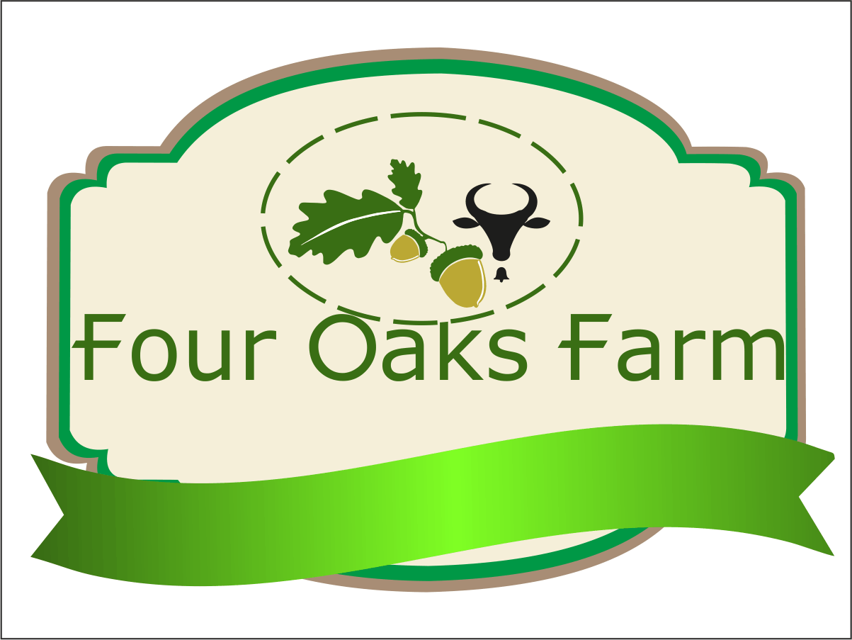 Logo Design by shivangi vermosys for this project | Design #6006755