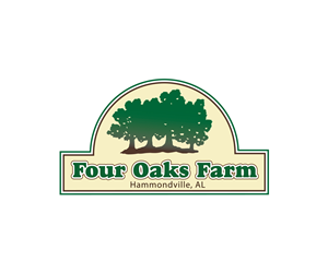 Logo Design by Taiki Design