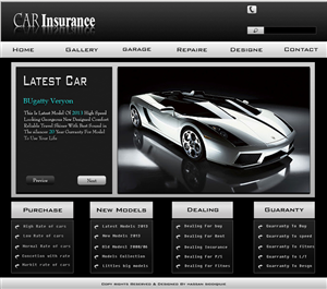 Web Design by HaSSan SiDDiqiue