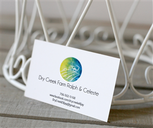 Business Card Design by Mahsa Namvar