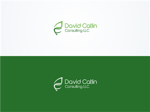 Logo Design by Atvento Graphics for this project | Design: #6032094