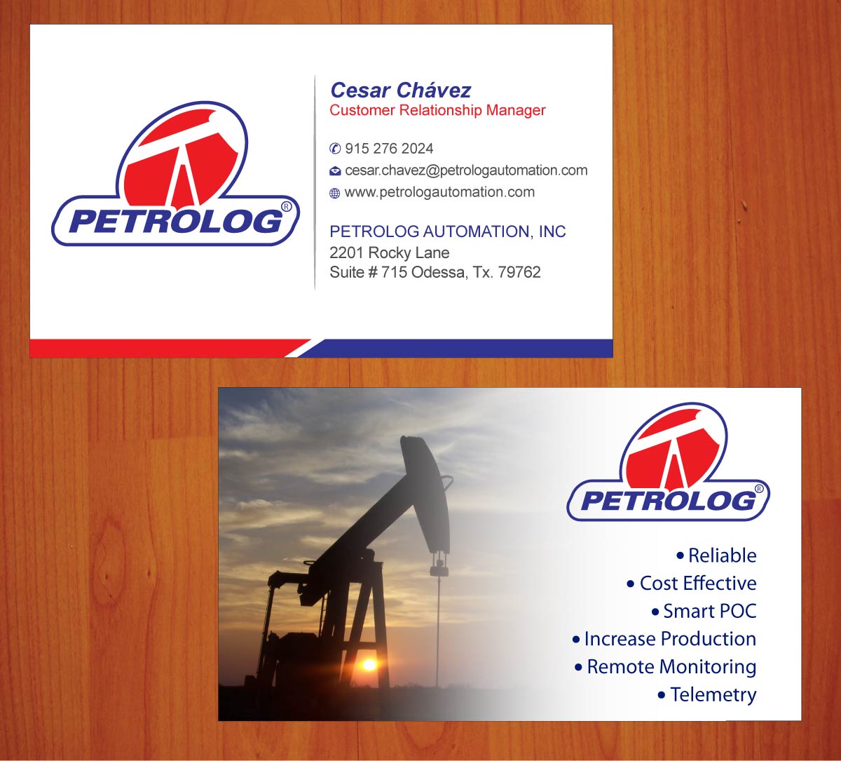 Business Card Design by Sbss for Petrolog | Design #1652052