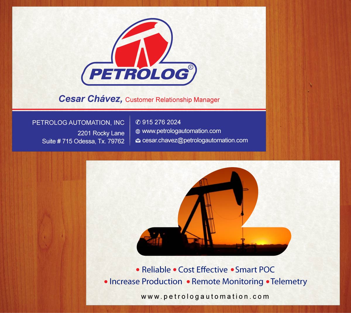 Business Card Design by Sbss for Petrolog | Design #1652058