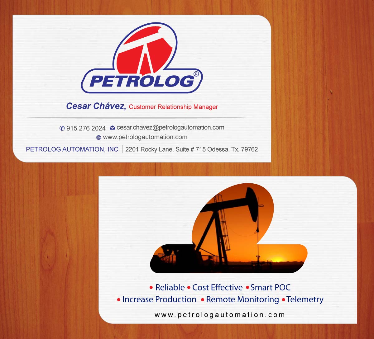 Business Card Design by Sbss for Petrolog | Design #1652191
