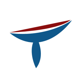 Logo Design by metalciyiz55