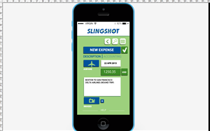 Web Design par Regina_T pour Slingshot Software | Design : #6068256