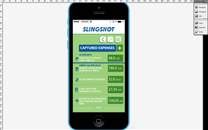Web-Design von Regina_T für Slingshot Software | Design #6068264