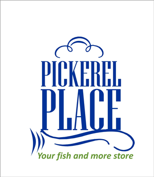 Logo Design by adri29