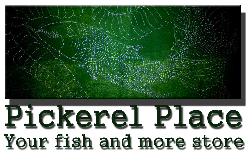 Logo-Design von Elvis Dolic für dieses Projekt | Design #6107445