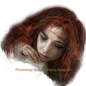 Design Photoshop par Hana pour Bitwise Software International, Inc. | Design : #6023282