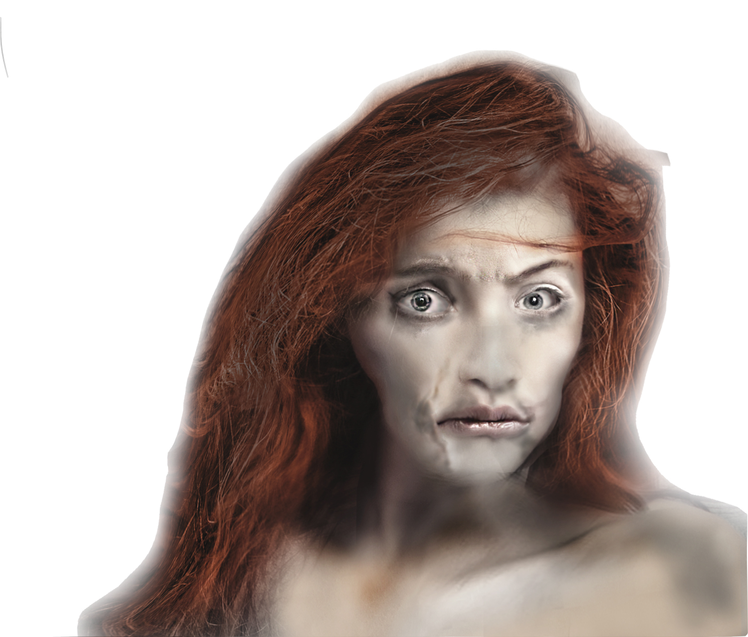 Photoshop Design by shishir kant bhuyan for Bitwise Software International, Inc. | Design #6022342