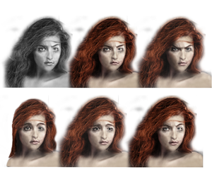 Design Photoshop par jkrebs04 pour Bitwise Software International, Inc. | Design : #6017401