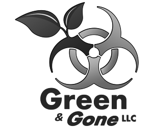 Design de Logo par dhwindels2 pour ce projet | Design : #6003810