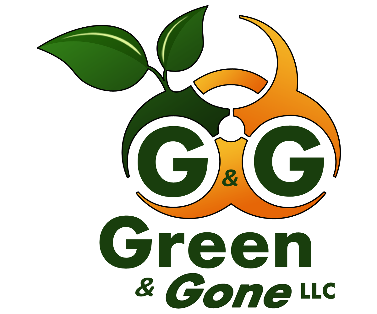 Logo Design by dhwindels2 for this project | Design #6003816