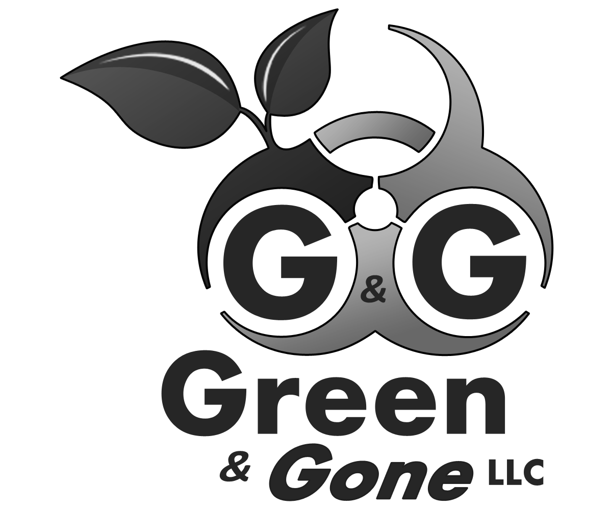 Logo Design by dhwindels2 for this project | Design #6003819