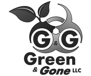 Design de Logo par dhwindels2 pour ce projet | Design : #6003819