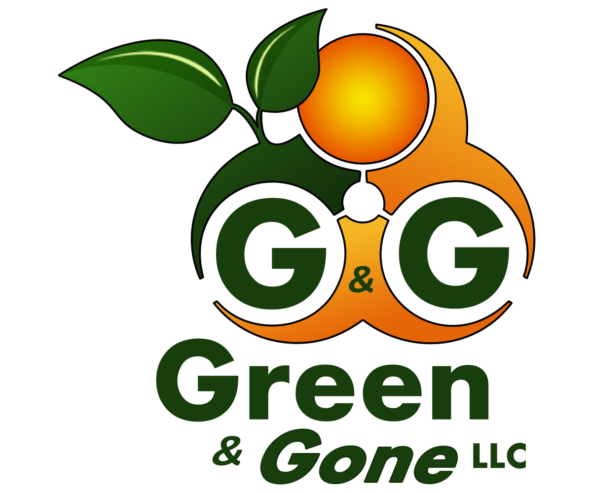 Logo Design by dhwindels2 for this project | Design #6003824