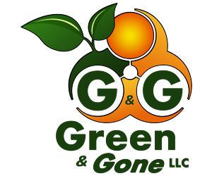 Design de Logo par dhwindels2 pour ce projet | Design : #6003824