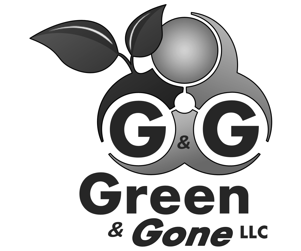 Logo Design by dhwindels2 for this project | Design #6003826