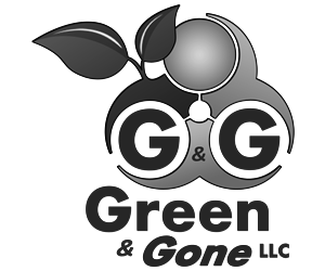 Design de Logo par dhwindels2 pour ce projet | Design : #6003826