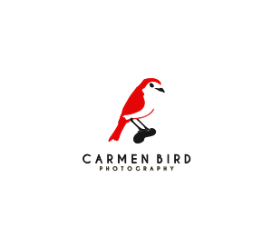 Logo Design by Shank