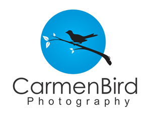 Logo Design by Santu Dey