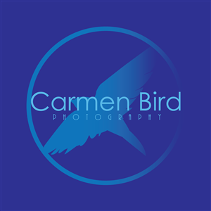 Logo Design by kamusinggris1234