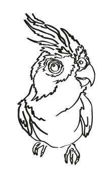 Illustration Design by RKub for She Stamps | Design #6060115